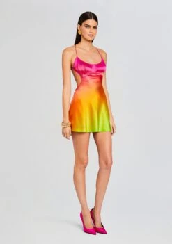 Josefine Silk Dress -Women's Clothing Shop Ecommerce Crop 23 12 18 JOSEFINEDRESS PINKLIMEOMBRE 2271 ECOMM