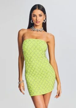 Felicity Embellished Chiffon Dress -Women's Clothing Shop Ecommerce Crop 230321 RETROFETE SET1 Shot 06 1114 eComm