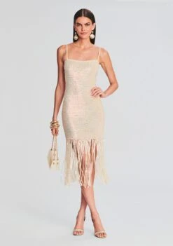 Nalu Sequin Crochet Dress