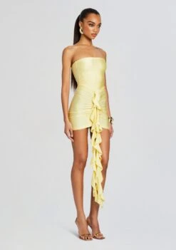 Serena Mini Dress -Women's Clothing Shop Ecommerce Crop 24 02 15 SERENAMINIDRESS YELLOWMACARON 1150 ECOMM