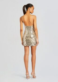 Airalyse Embellished Dress 10 Airalyse Embellished Dress -Women's Clothing Shop Ecommerce Crop 24 02 29 AIRALYSEDRESS CHAMPAGNE 0104 ECOMM