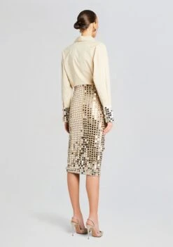 Brelan Embellished Skirt -Women's Clothing Shop Ecommerce Crop 24 02 29 OZELLASHIRT BRELANSKIRT CHAMPAGNEDUST 1103 ECOMM 99bd0396 48cb 4dc1 a076 a2eb0390e872